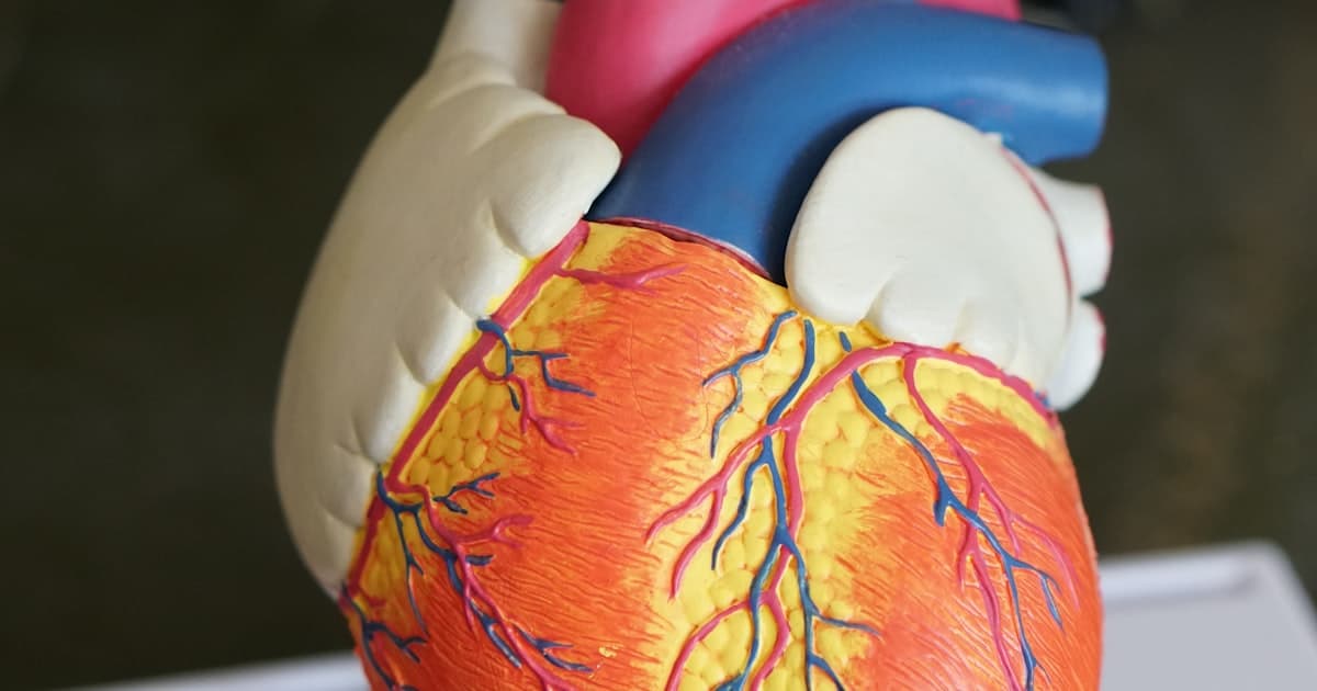 CBRN Detection and Biosecurity: The EU Supply Chain Being Built Now