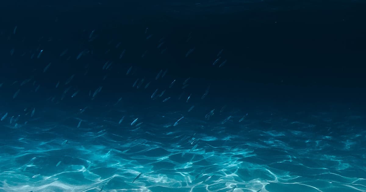 Underwater Autonomy and Maritime Supply Chains: Europe's Growing Market